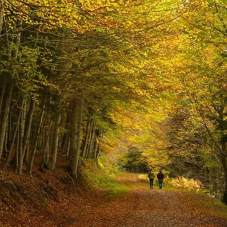 Atico De Cumbres By Bevalle アパート *