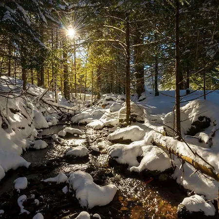 Atico De Cumbres By Bevalle パンティコサ