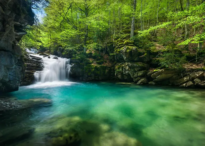 Atico De Cumbres By Bevalle * パンティコサ