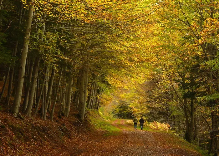 Atico De Cumbres By Bevalle アパート *