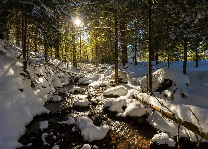 Atico De Cumbres By Bevalle パンティコサ